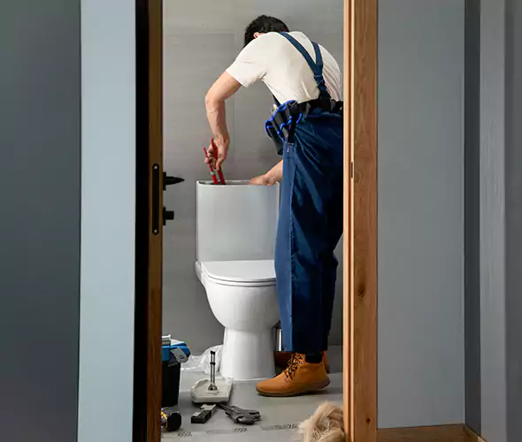 Professional Plumbers for Toilet Bowl Replacement in Miller Place, NY: Schedule Affordable Toilet Replacement Services With Us
