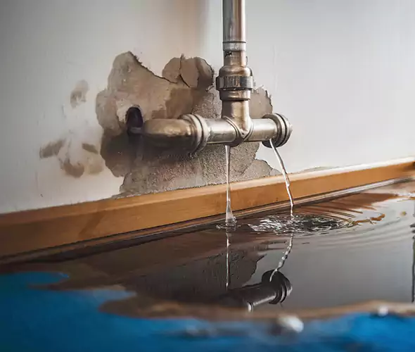 Professional Water Damage Restoration Experts in Miller Place, NY — Fast, Reliable & Certified