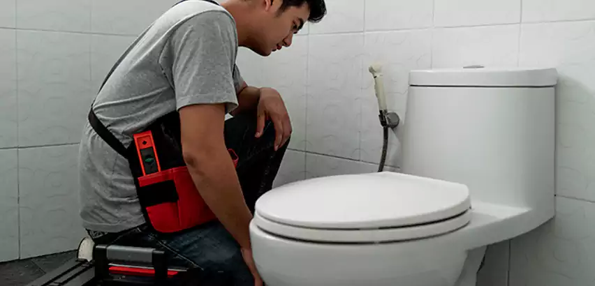 Toilet Repair in Miller Place