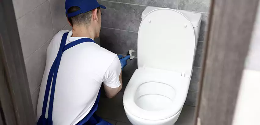 Toilet Lid Replacement in Miller Place