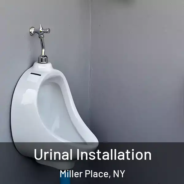 Urinal Installation Miller Place, NY