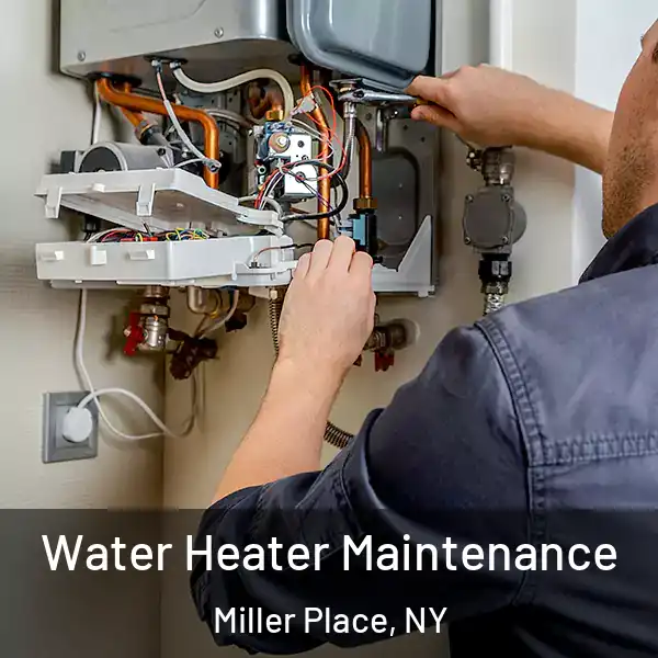  Water Heater Maintenance Miller Place, NY